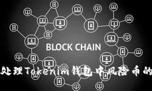 如何处理Tokenim钱包中风险币的提示