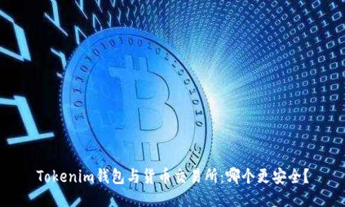 Tokenim钱包与货币交易所：哪个更安全？