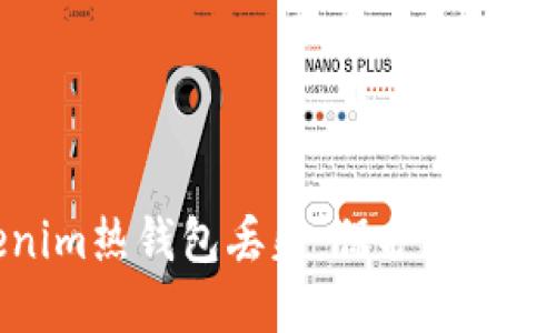 如何防止Tokenim热钱包丢失：保护数字资产的全面指南