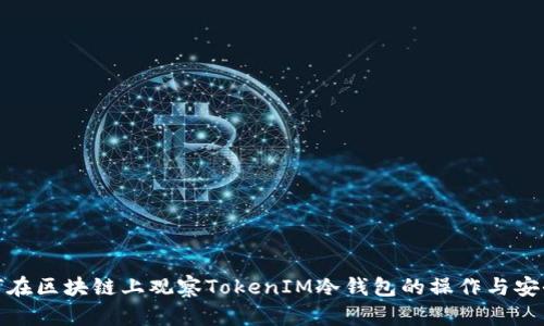 如何在区块链上观察TokenIM冷钱包的操作与安全性