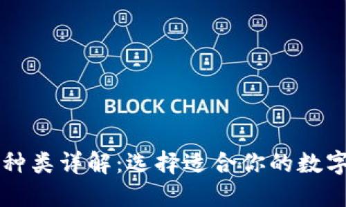 区块链钱包的种类详解：选择适合你的数字资产管理工具