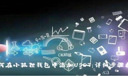 如何在小狐狸钱包中添加USDT：详细步骤指南