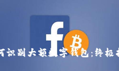 如何识别大额数字钱包：终极指南