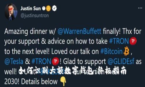 如何识别大额数字钱包：终极指南