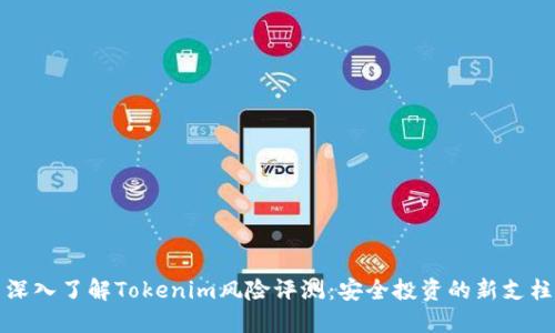 深入了解Tokenim风险评测：安全投资的新支柱