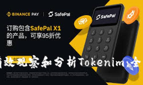 如何有效观察和分析Tokenim：全面指南