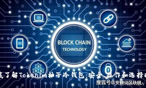 彻底了解Tokenim柚子冷钱包：安全、操作和选择指南