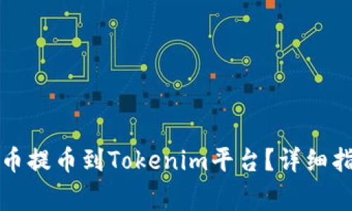 如何将数字货币提币到Tokenim平台？详细指南和注意事项