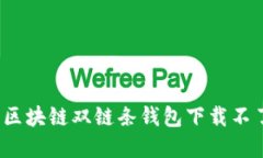 如何解决区块链双链条钱