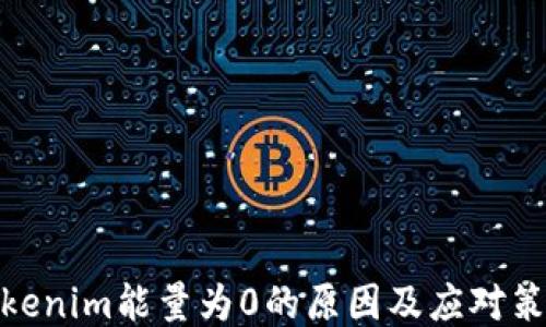 
Tokenim能量为0的原因及应对策略