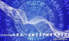 Tokenim的前身：一段数字资