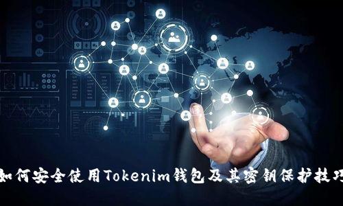 如何安全使用Tokenim钱包及其密钥保护技巧