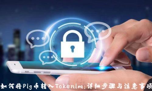 
如何将Pig币转入Tokenim：详细步骤与注意事项
