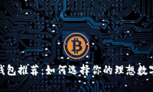 最安全的货币钱包推荐:如何选择你的理想数字资产存储方案