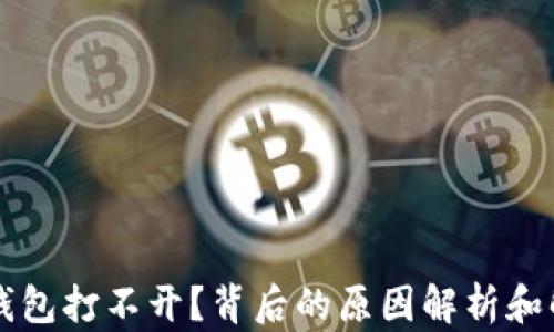 
区块链钱包打不开？背后的原因解析和解决方案