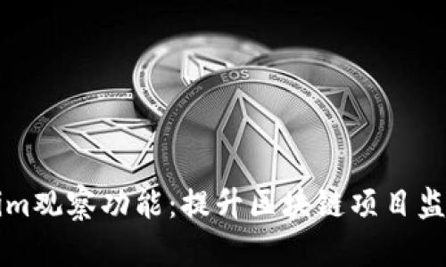 深入解析Tokenim观察功能：提升区块链项目监测与分析的利器
