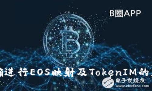 如何正确进行EOS映射及TokenIM的应用指南