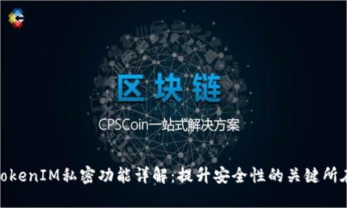 TokenIM私密功能详解：提升安全性的关键所在