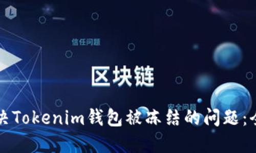 如何解决Tokenim钱包被冻结的问题：全面指南