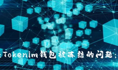 如何解决Tokenim钱包被冻结的问题：全面指南
