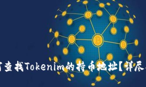 如何查找Tokenim的持币地址？详尽指南