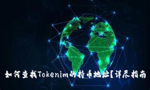 如何查找Tokenim的持币地址？详尽指南