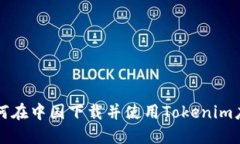 如何在中国下载并使用T