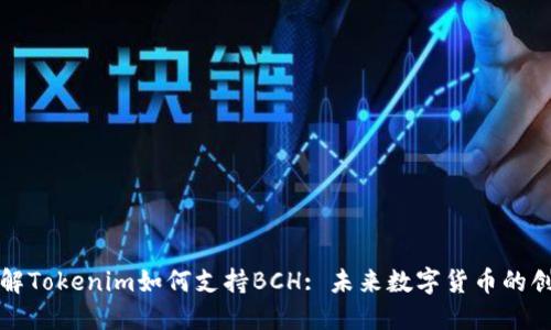 深入了解Tokenim如何支持BCH: 未来数字货币的创新之路
