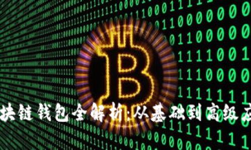 区块链钱包全解析：从基础到高级应用