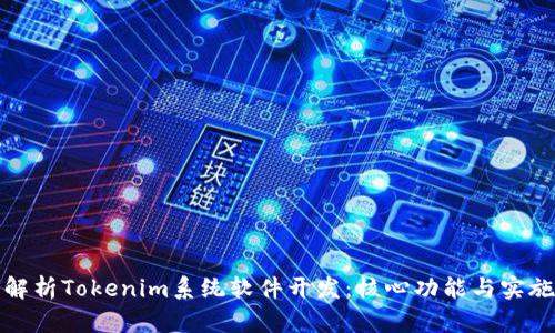 全面解析Tokenim系统软件开发：核心功能与实施策略