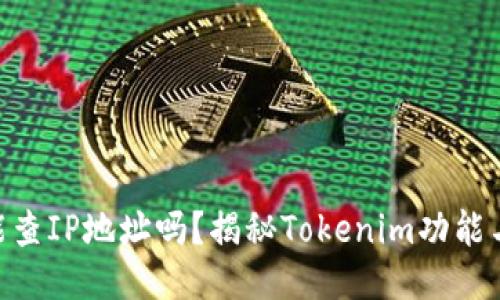 Tokenim能查IP地址吗？揭秘Tokenim功能与隐私保护