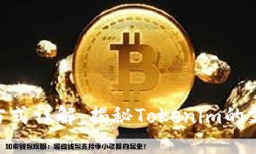 Tokenim支付方式详解：揭秘Tokenim的支付来源和流程