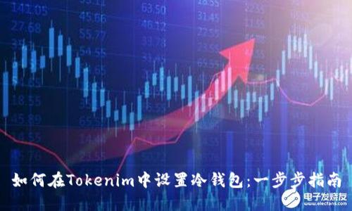 如何在Tokenim中设置冷钱包：一步步指南