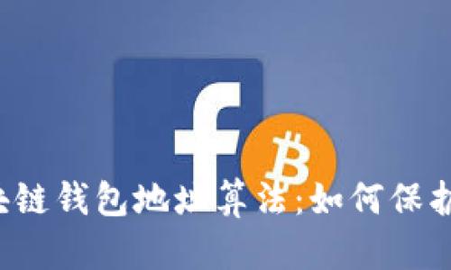  深入解析区块链钱包地址算法：如何保护您的数字资产