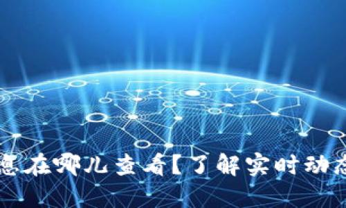 币圈最新消息在哪儿查看？了解实时动态的最佳途径