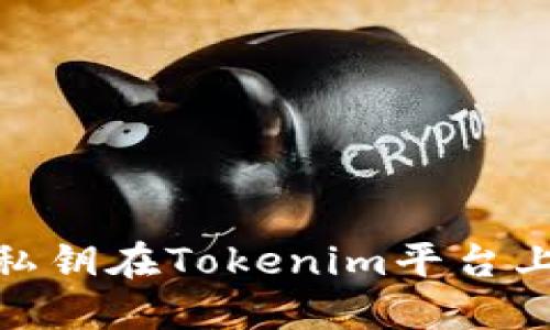 如何使用私钥在Tokenim平台上进行转账