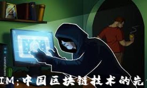 
TokenIM：中国区块链技术的先锋团队