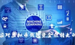 如何应对虚拟币钱包资金