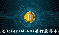   如何通过TokenIM DOT质押获