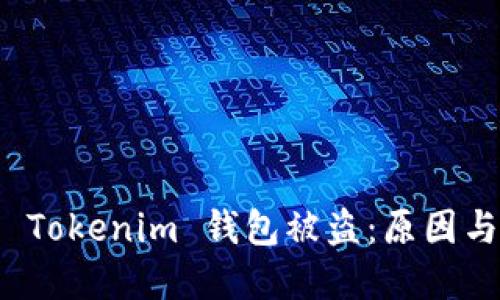 如何防止 Tokenim 钱包被盗：原因与解决方案