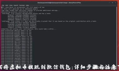 
如何将虚拟币提现到微信钱包：详细步骤与注意事项