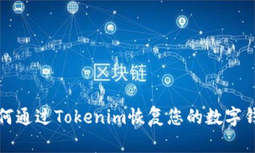 如何通过Tokenim恢复您的数字钱包