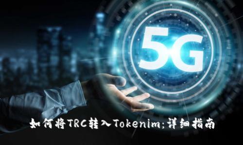 如何将TRC转入Tokenim：详细指南