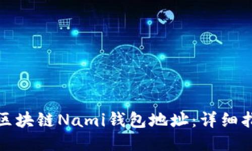 如何查看区块链Nami钱包地址：详细指南与技巧