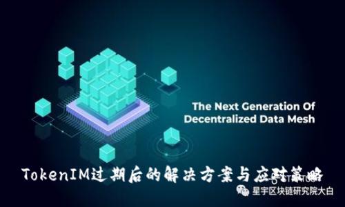 TokenIM过期后的解决方案与应对策略
