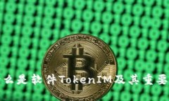 什么是软件TokenIM及其重要