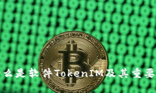 什么是软件TokenIM及其重要性