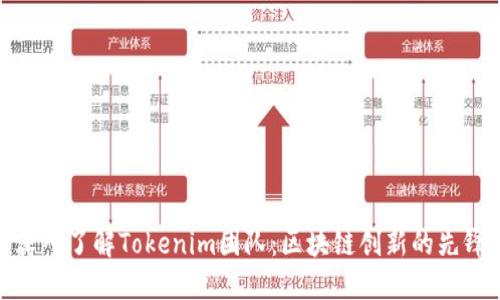 深入了解Tokenim团队:区块链创新的先锋