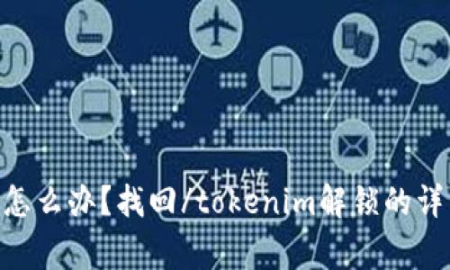 : TokenIM被锁了怎么办？找回/tokenim解锁的详细步骤与注意事项