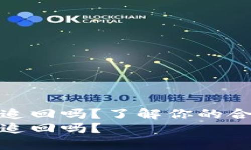 虚拟币钱包被骗了能追回吗？了解你的合法权益与应对措施  
虚拟币钱包被骗了能追回吗？